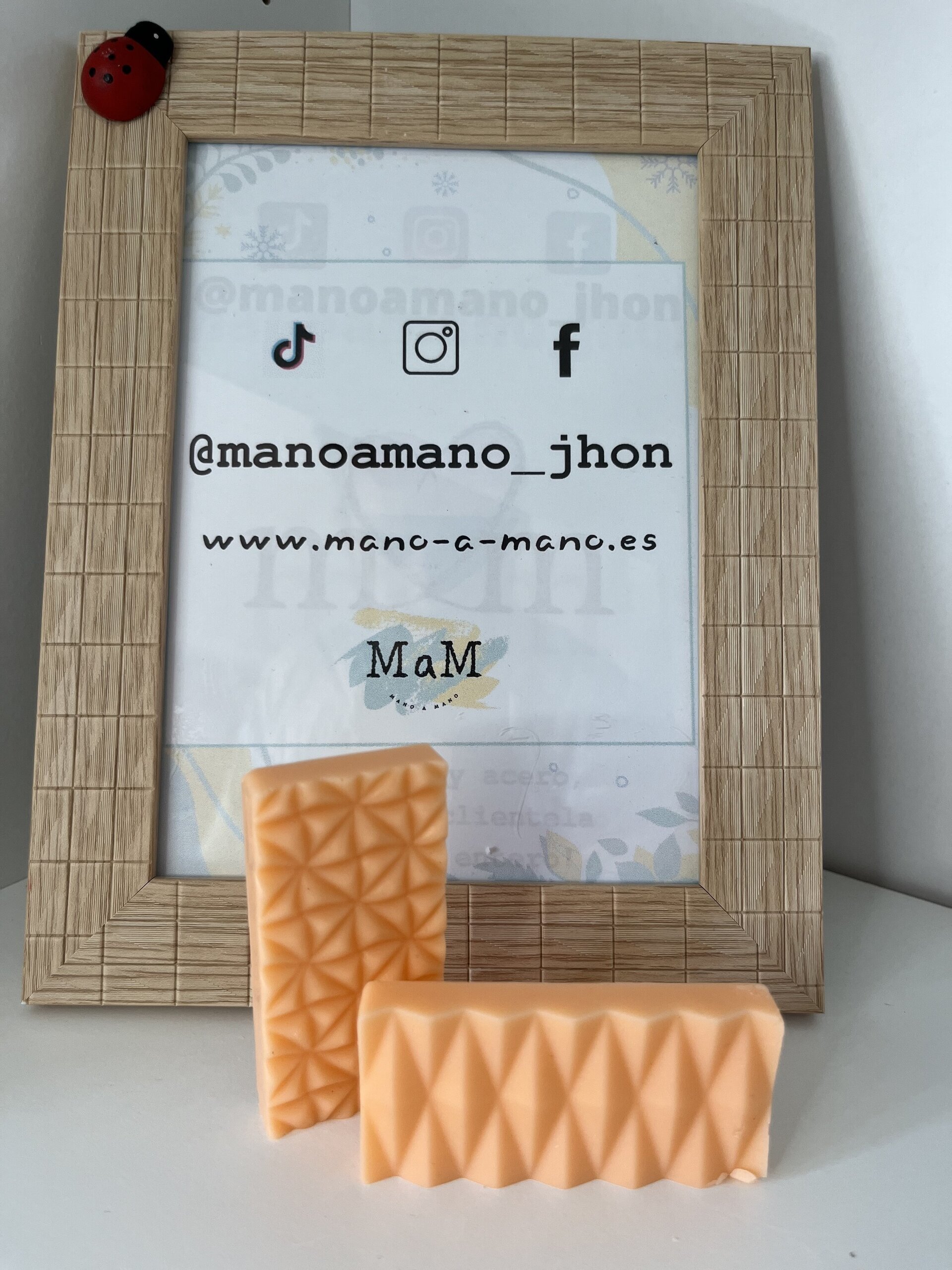 Pastel de Zanahoria - 1